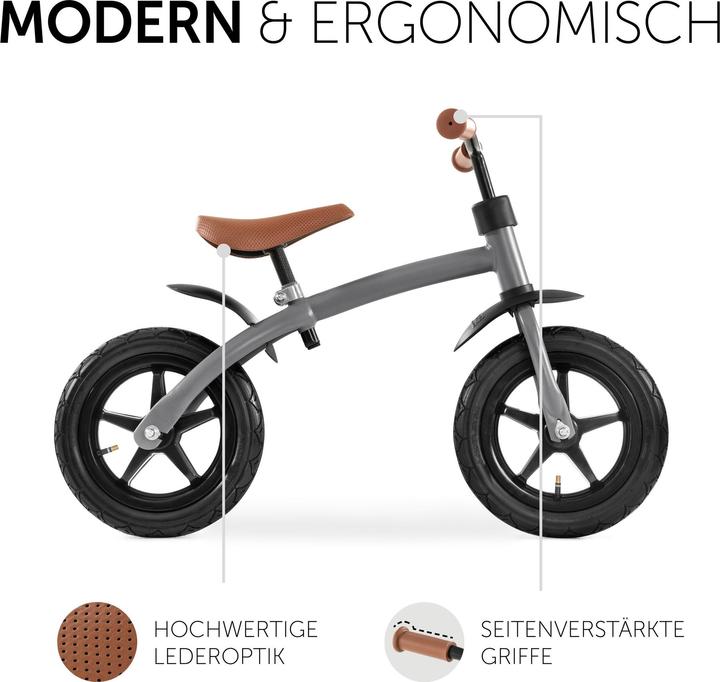 Immagine prodotto Hauck E Z Rider 12 Grigio opaco (12")