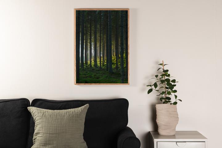 Venture Home Woods
