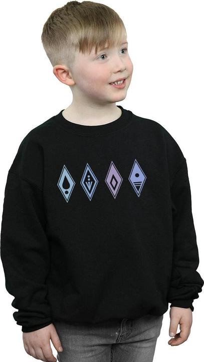 Immagine prodotto Disney Frozen 2 Elements Symbols Felpa Ragazzi (140, 146)