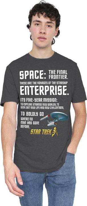 Actual product image Unisex Adult Intro T-Shirt (M)