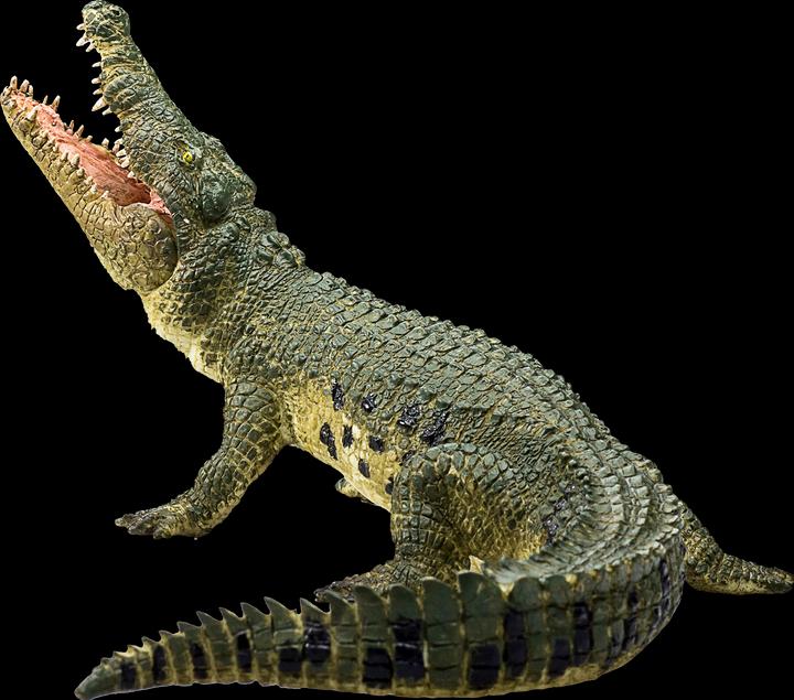Actual product image Mojo Crocodile with bewgl. jaws