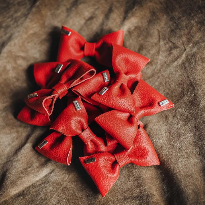 Image du produit Hunter Accessoires pour colliers Noeud papillon Paris, rouge (Chien, Général)