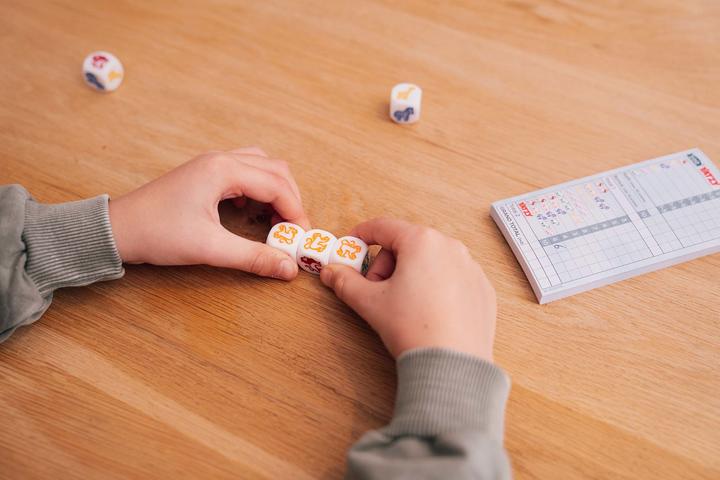 Actual product image Smart Games Zoo Yatzy (German)