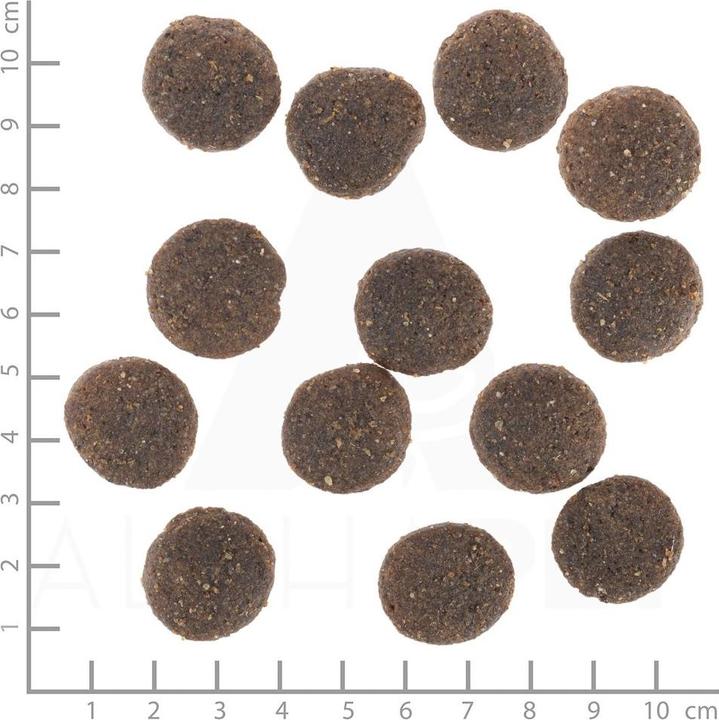Image du produit Wolfsblut Nourriture sèche Dog Range Lamb Adult, 12.5 kg (Adulte, 1 pcs, 12500 g)