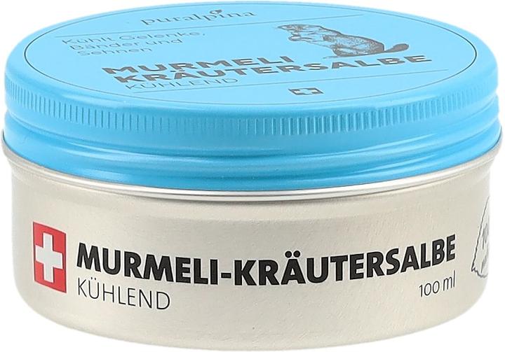 Immagine prodotto Puralpina Unguento alle erbe Murmeli (1 x, 100 ml, 110 g)