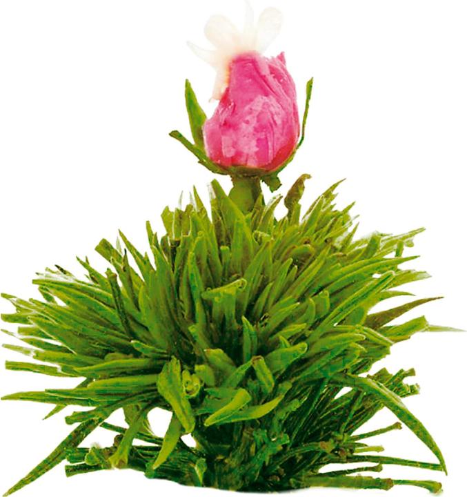 Image du produit Creano Le thé en fleur (0.50 l)