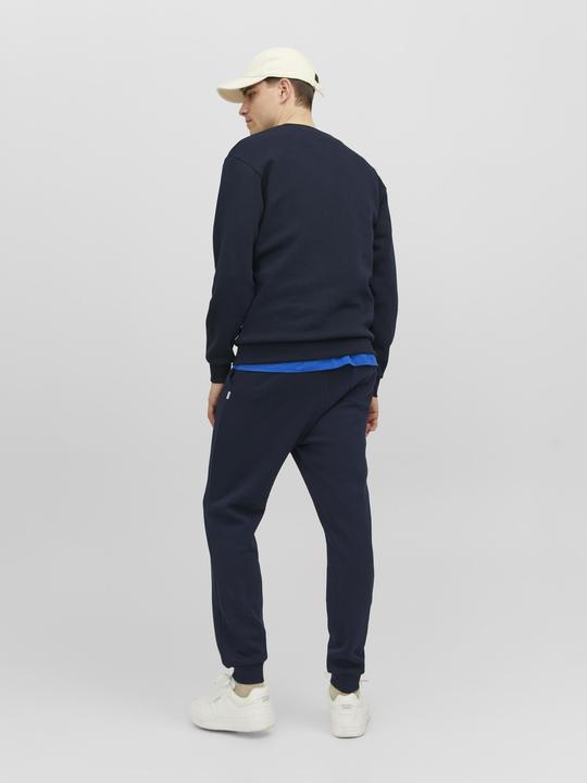 Actual product image Jack & Jones Gordon Bradley Sweatpants (L)