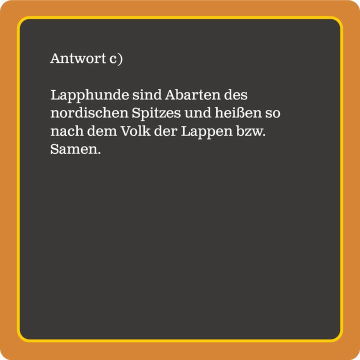 Actual product image Das Hunde-Quiz (Neuauflage) (German, Basket, Tessy, 2023)