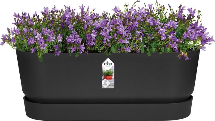 Produktbild Elho Blumenkasten (19 cm)