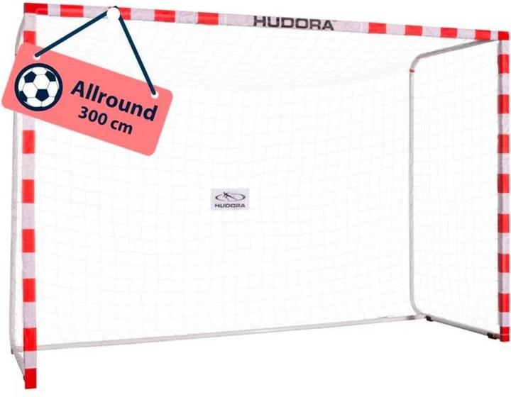 Image du produit Hudora Porte Allround 300