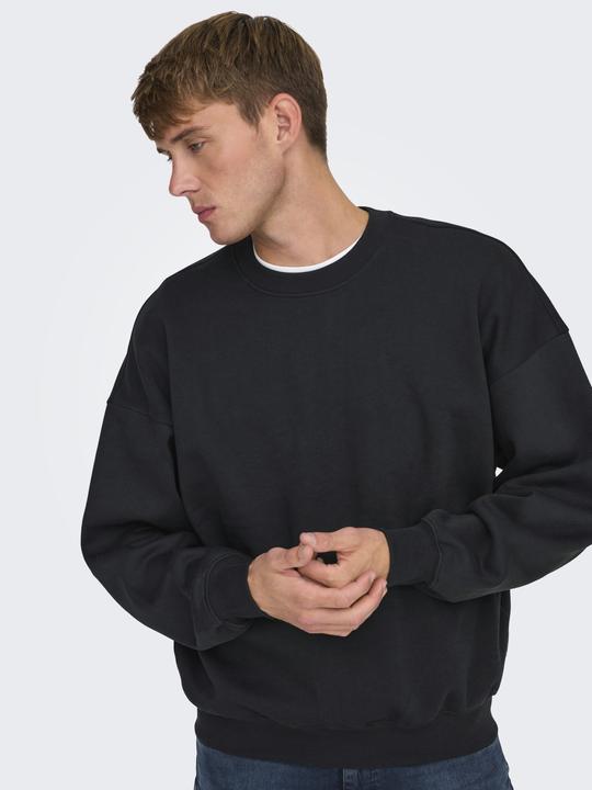 Image du produit Only & Sons Onsturner Life Vtg Crew Neck Sweat Noos (M)
