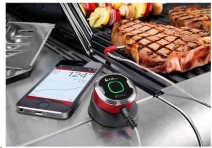 Produktbild Weber iGrill mini