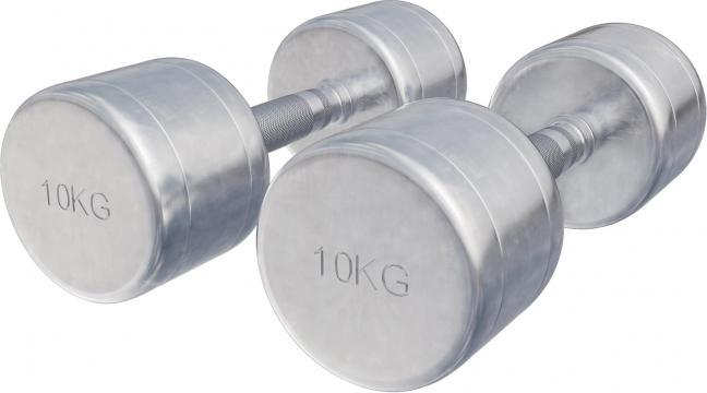 Image du produit Gorilla Sports Haltères courts en chrome (2 x 10 kg)