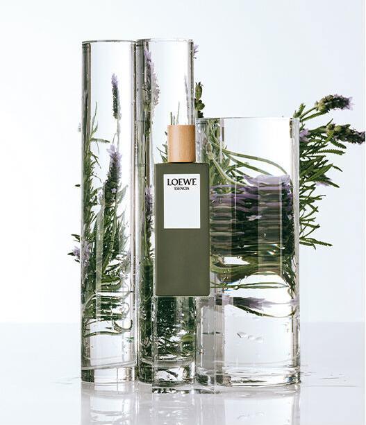 Actual product image Esencia pour Homme (Eau de toilette, 100 ml)