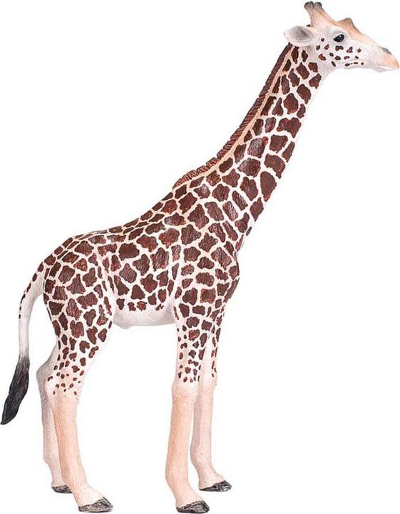 Produktbild Mojo Wildlife Wildtiere Safari Spielset, 6-teilig. - 380026