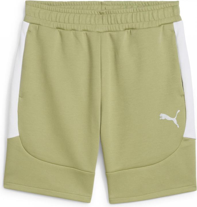 Image du produit Puma Short teamEVOSTRIPE (M)
