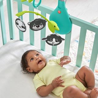 Produktbild Fisher-Price 3-in-1-Mobile Kinderwagen-Spielzeug