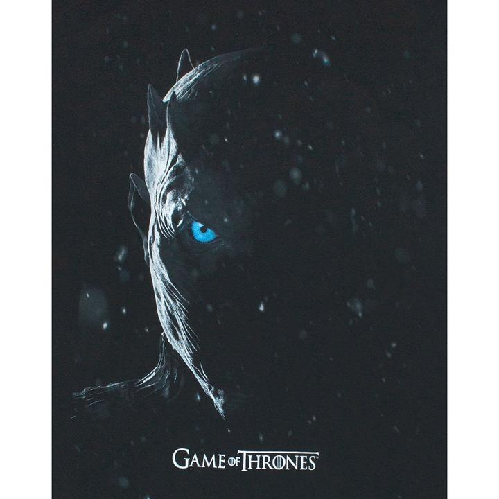 Produktbild Game of Thrones Tshirt (M)