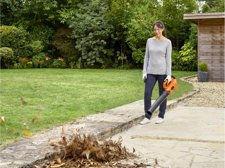 Actual product image Black & Decker BCBL200LQW (Rechargeable battery operated, Leaf blower)