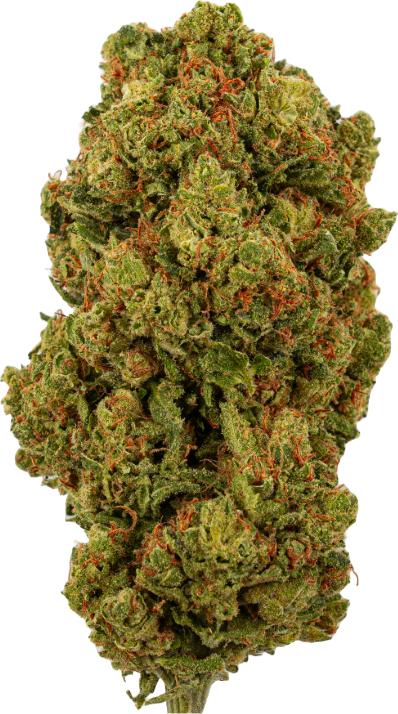 Immagine prodotto Green Passion Amnesia Haze (5 g, Interno)