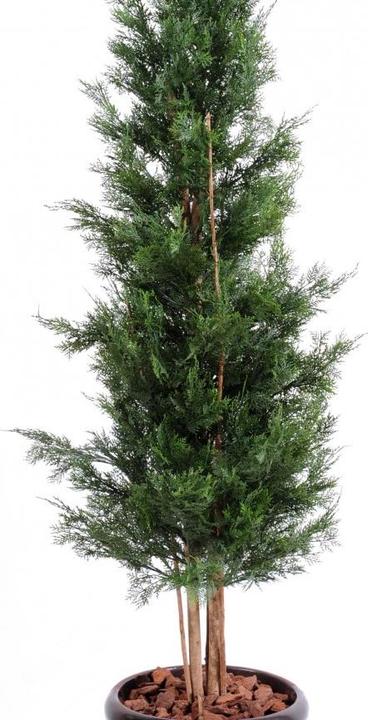 Produktbild Greendeco Künstliche Zypresse Thuja, ca. 180cm (UV-Beständig) (180 cm)