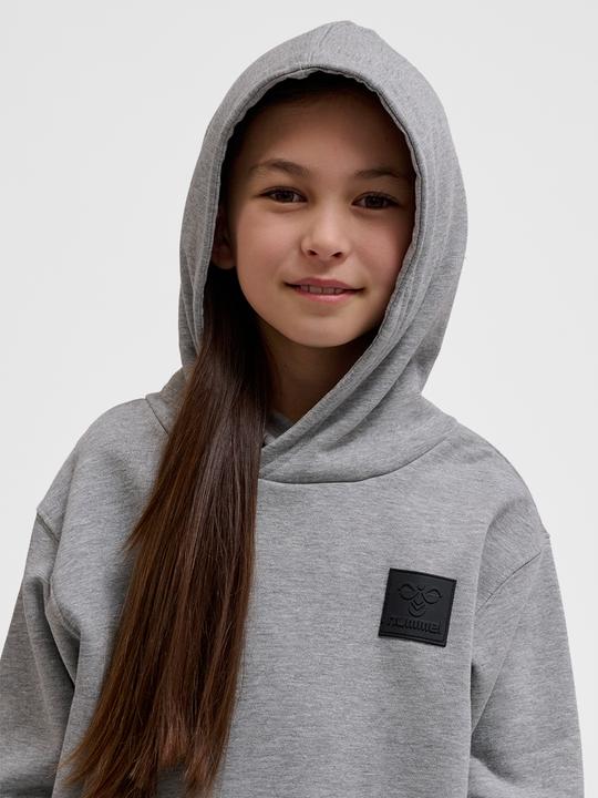 Image du produit hummel hmlCLEAN HOODIE (104)