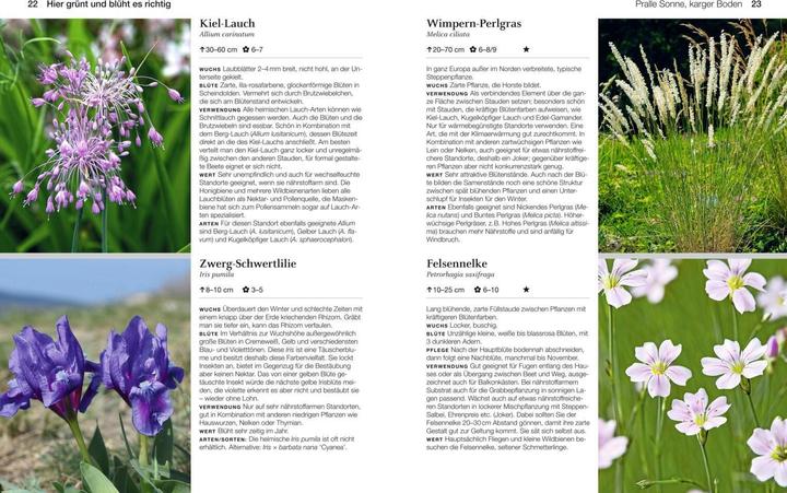 Produktbild Welche Pflanze passt wohin im Naturgarten? (Deutsch, Paula Polak, 2020)