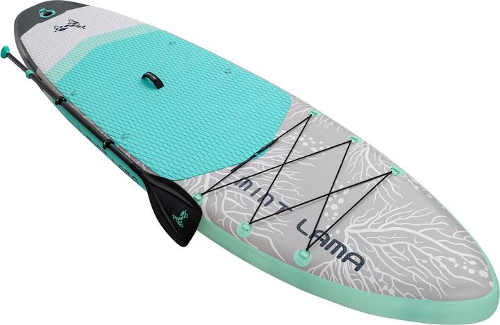 Actual product image Mint Lama Alpaca (11')