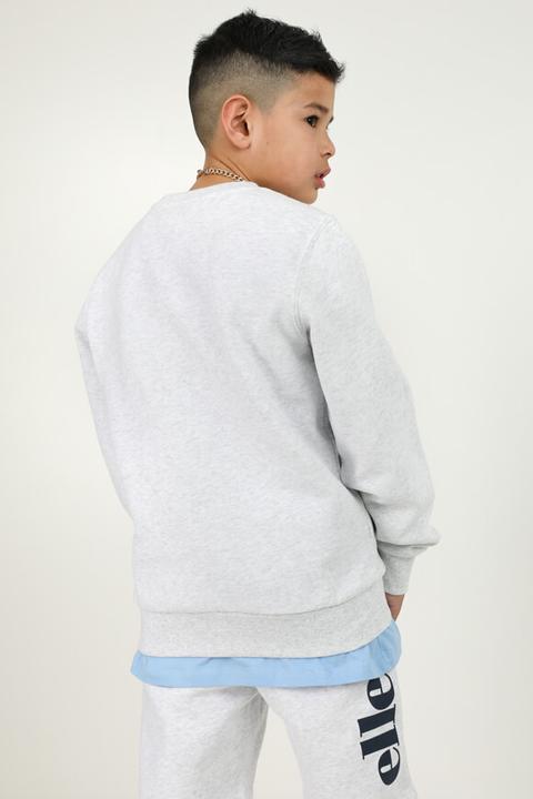 Actual product image Ellesse sweatshirt (140)