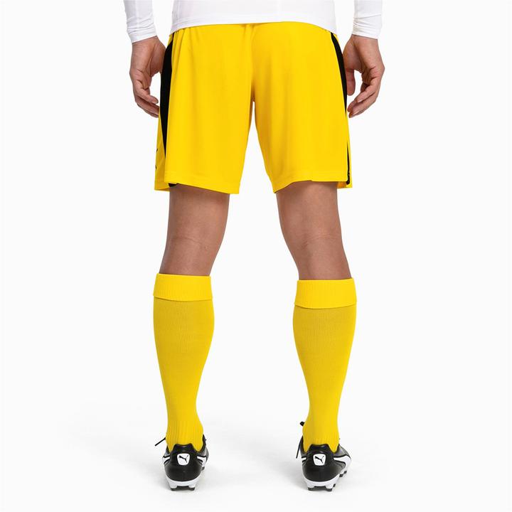 Actual product image Puma Team LIGA Socks CORE-703441 (47, 49)
