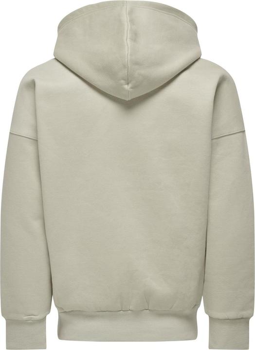 Image du produit Only & Sons Onsdan Life Rlx Heavy Zip Hoodie Noos (XXL)