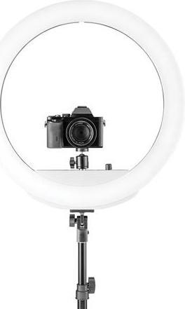 Image du produit Westcott 18” Bi-Color LED Ring Light Kit with Batteries and Stand (éclairage annulaire)