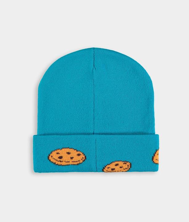 Image du produit Difuzed Sesam Street Beanie Cookie Monster