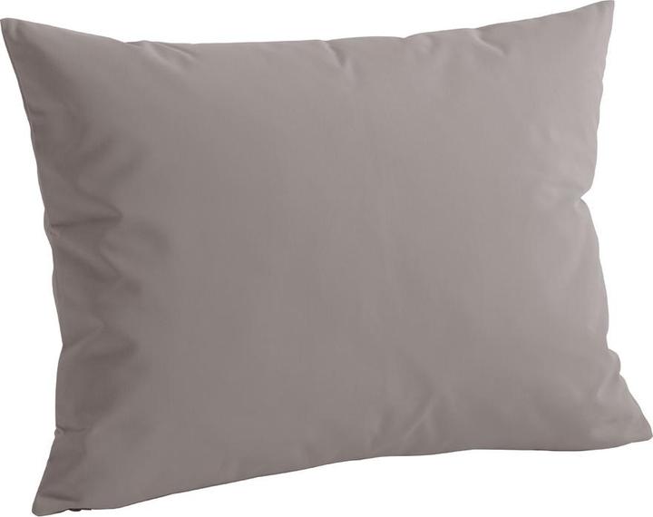 Actual product image Johann Jakob Malena (54 x 73 cm)
