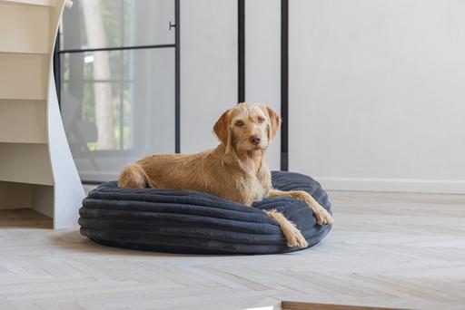 Produktbild Designed by Lotte Liegekissen Reza (Hund)
