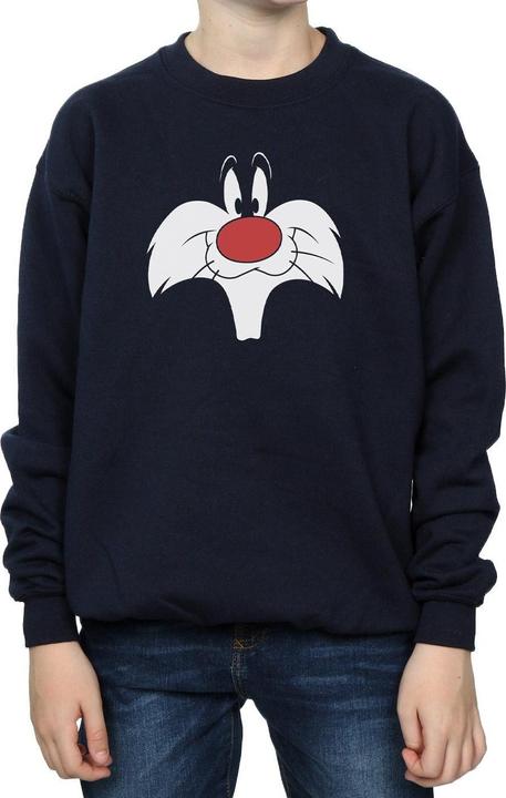 Actual product image Looney Tunes Boys Sylvester Big Face Sweatshirt (152, 158)