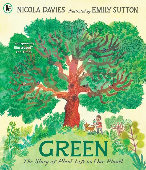 Produktbild Green: The Story of Plant Life on Our Planet (Englisch, Davies Nicola, Sutton Emily, 2025)
