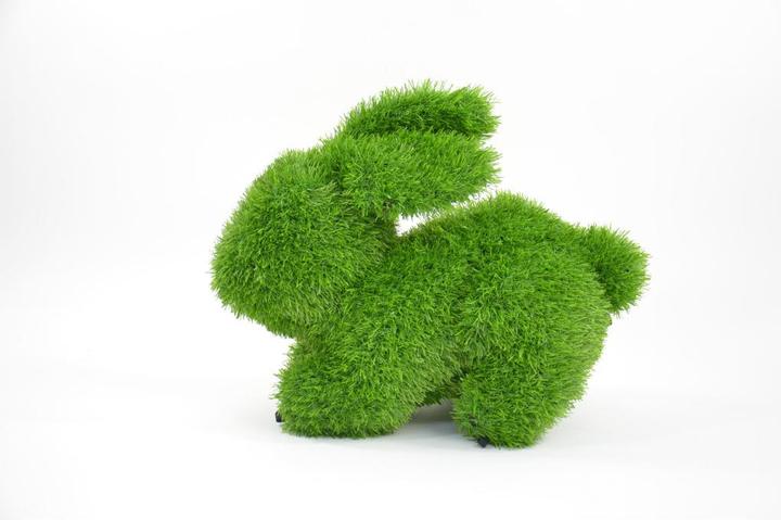 Immagine prodotto Neogard Coniglio per erba artificiale AniPlants