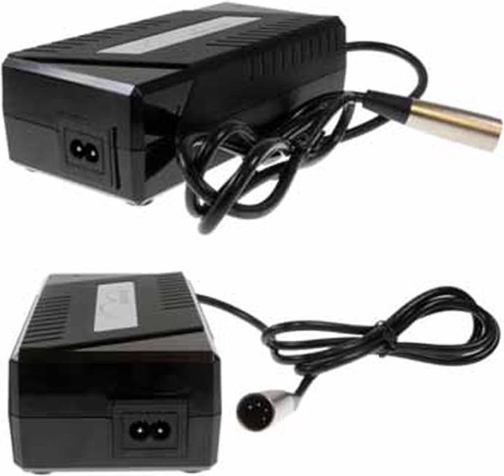 Actual product image E-Bike-Vision Charger 4A / 36V Bosch, Panasonic and Gazelle (E-bike charger)