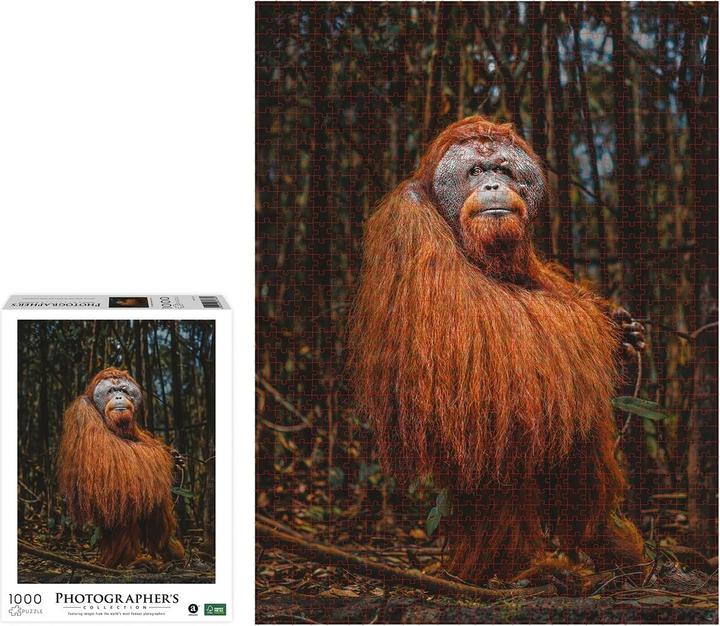 Actual product image Merchant Ambassador Orang Utan Donal Boyd (1000 pieces)