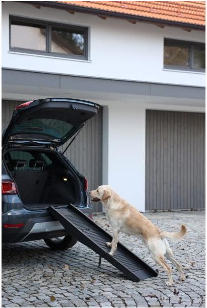 Immagine prodotto Kerbl Rampa per cani (Cane, Pieghevole)
