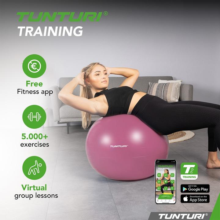 Actual product image Tunturi Gym Ball (65 cm)