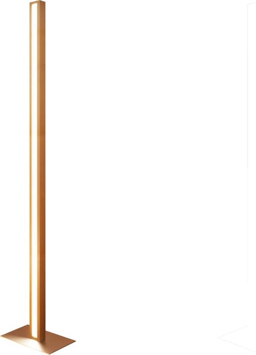 Érable