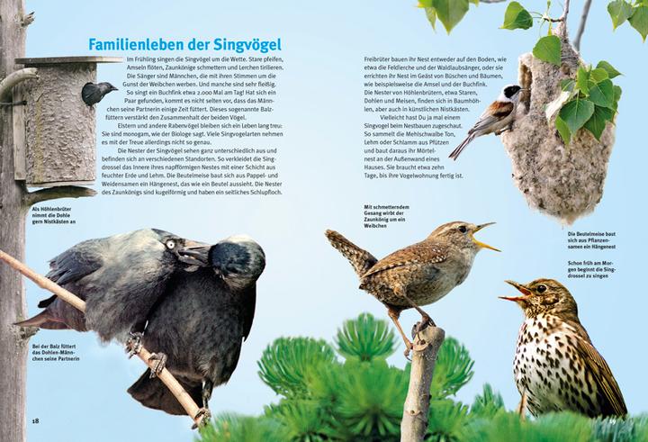 Actual product image Entdecke die Singvögel (German, Thomas Schmidt, 2015)