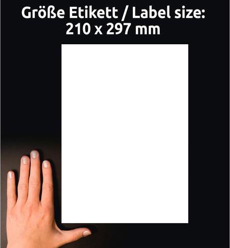 Image du produit Avery Etiquettes photo A4