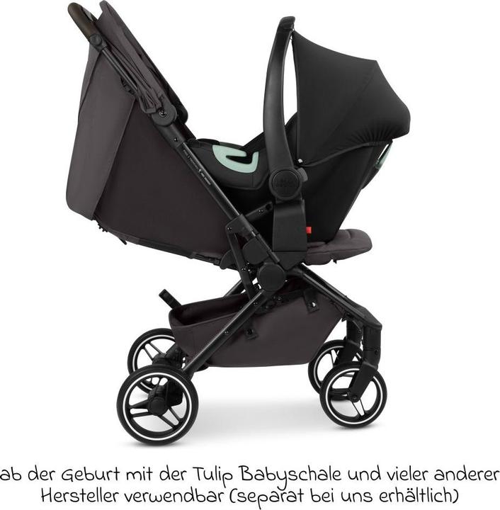 Actual product image ABC Design Ping 3 Trekking Buggy - Reisebuggy ab 6 Monaten bis 22 kg