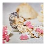Actual product image Plus-Plus 100 creative building blocks Pearl