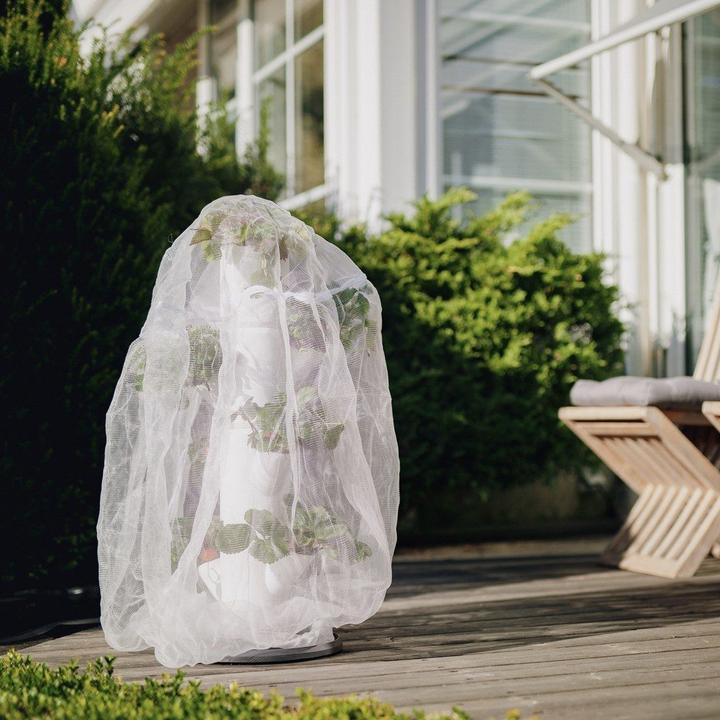 Immagine prodotto Gusta Garden Rete di protezione dagli insetti, 65 x 90 cm