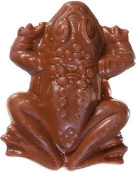 Produktbild Jelly Belly Harry Potter Chocolate Frog (15 g)