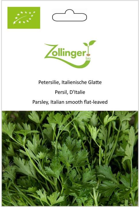 Actual product image Zollinger Bio Parsley, Italian flat-leaf (Seedlings)